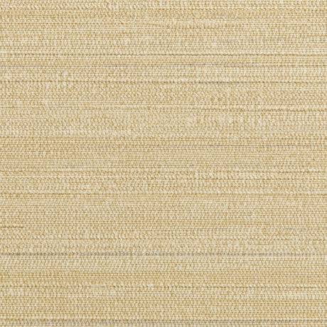 Kravet DESIGN W3659 416 Wallpaper