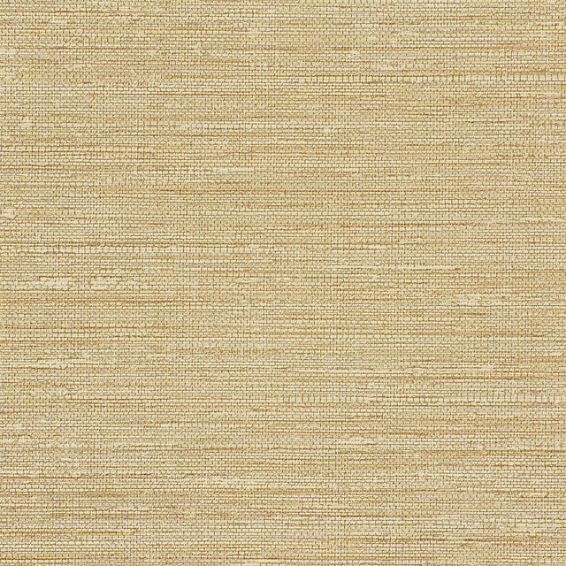 Kravet DESIGN W3688 16 Wallpaper