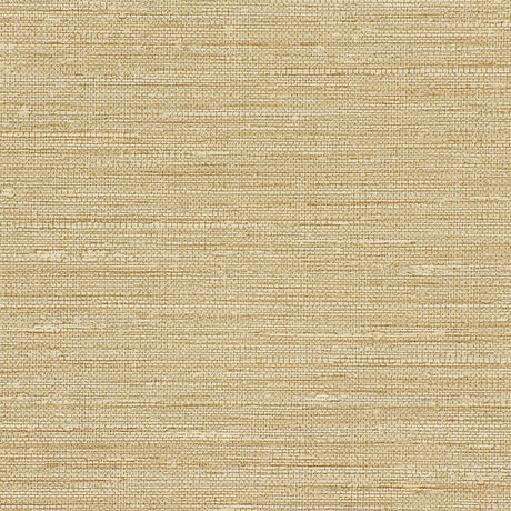 Kravet DESIGN W3688 16 Wallpaper