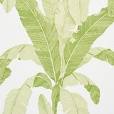 Schumacher Erisimo Leaf Wallpaper