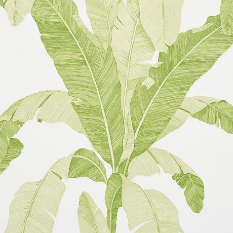 Schumacher Erisimo Leaf Wallpaper
