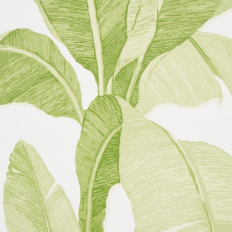 Schumacher Erisimo Leaf Wallpaper