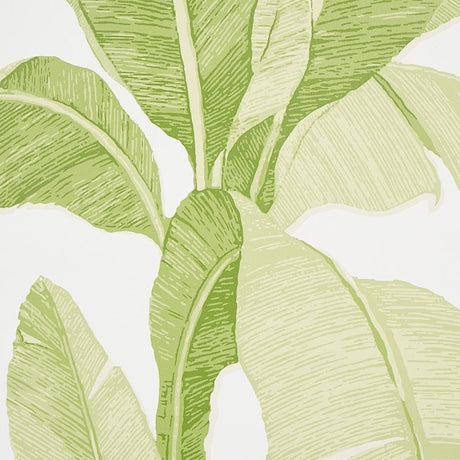 Schumacher Erisimo Leaf Wallpaper