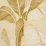 Schumacher Erisimo Neutral Wallpaper