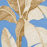 Schumacher Erisimo Blue Wallpaper