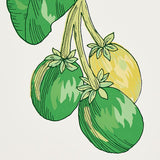 Schumacher Blair House Palm Green Wallpaper