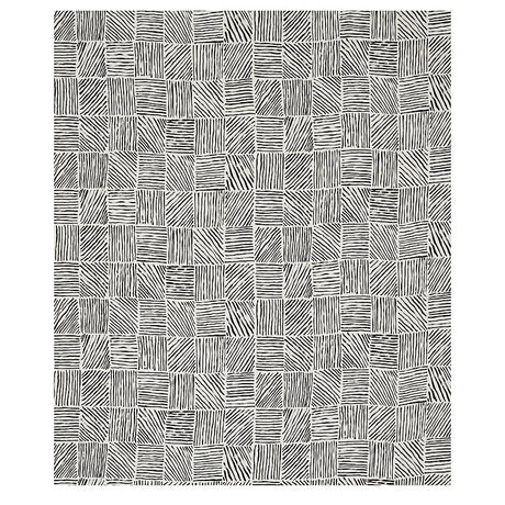 Schumacher Katama Black Fabric