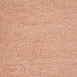 Schumacher Menemsha Blush Fabric