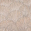 Schumacher Fondale Ivory Fabric