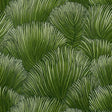 Schumacher Fondale Green Wallpaper