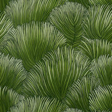 Schumacher Fondale Green Wallpaper