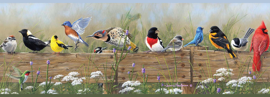 Brewster Home Fashions Flock Menagerie Border Multicolor Wallpaper