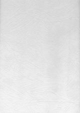 Brewster Home Fashions Netson Paintable Texture Wallpaper