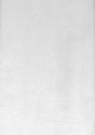 Brewster Home Fashions Netson Paintable Texture Wallpaper