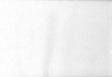 Brewster Home Fashions Malkmus Paintable Shell Texture Wallpaper