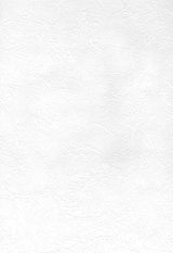 Brewster Home Fashions Cale Paintable Slap Trowel Plaster Wallpaper