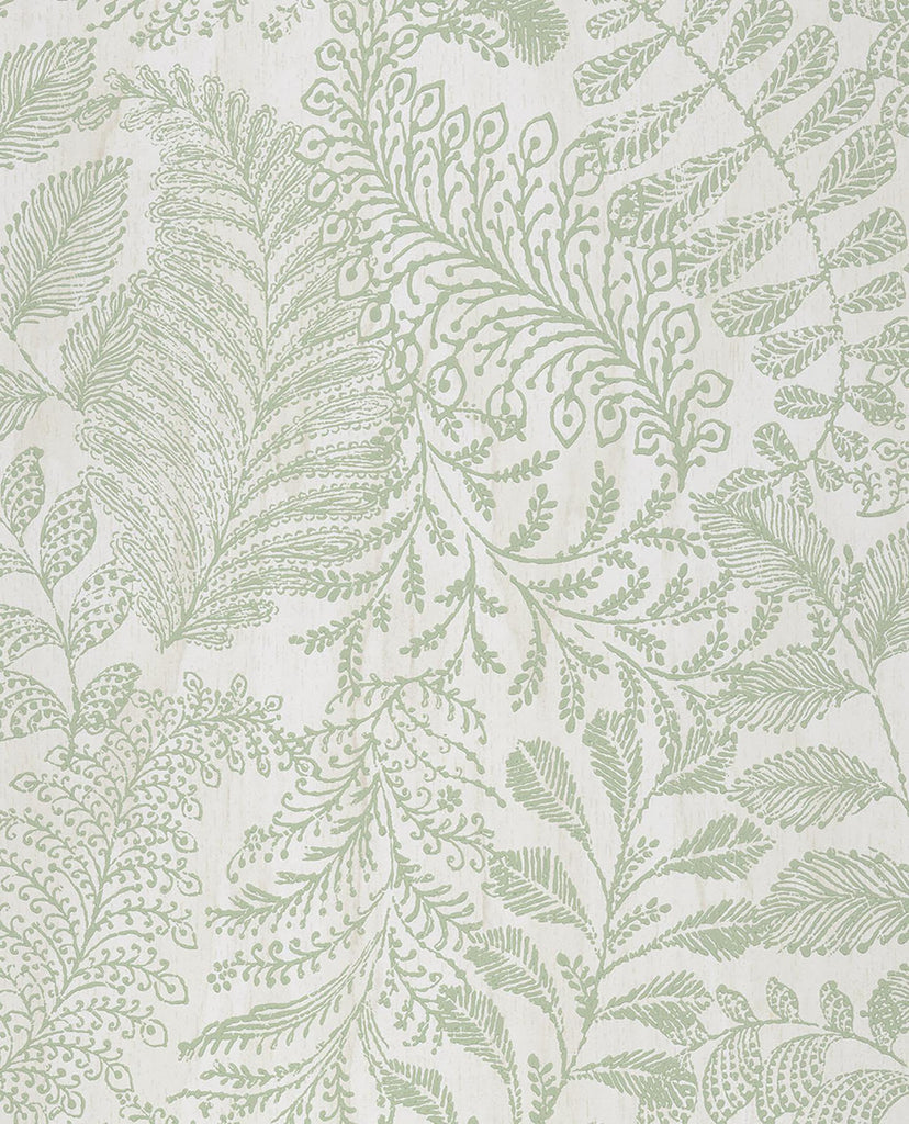 Brewster Home Fashions Balth Mint Botanical Wallpaper