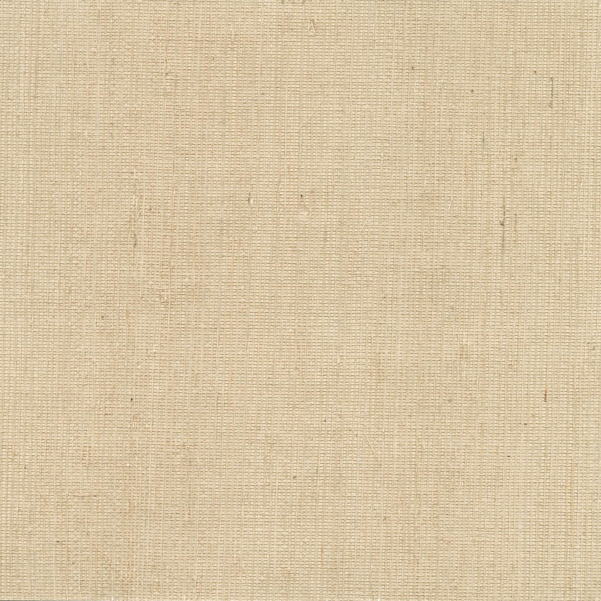 Brewster Home Fashions Ruslan Beige Grasscloth Wallpaper