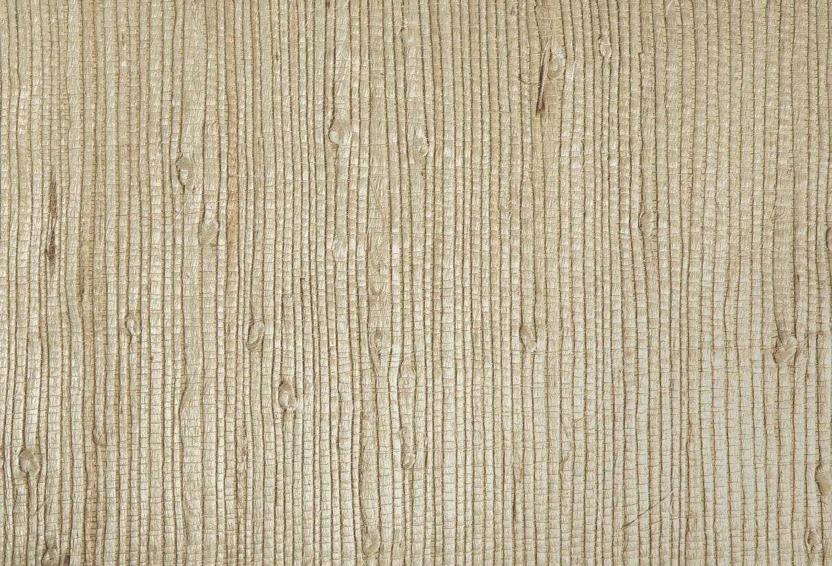 Brewster Home Fashions Martina Beige Grasscloth Wallpaper