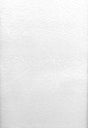 Brewster Home Fashions Brassica Organic Raised Texture Paintable Wallpaper