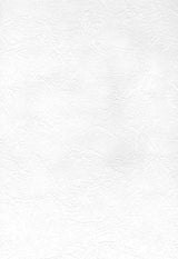Brewster Home Fashions Sante Fe Slap Trowel Plaster Paintable Wallpaper