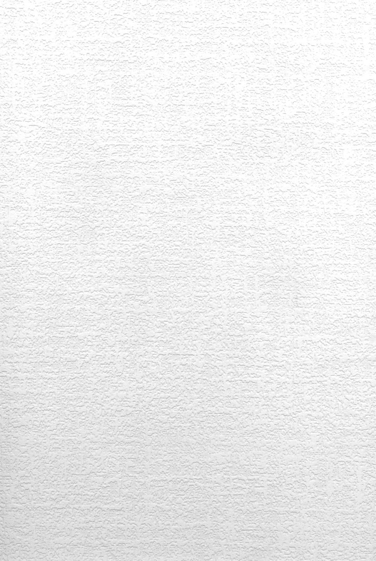 Brewster Home Fashions Egg Shell Plaster Texture Paintable Wallpaper