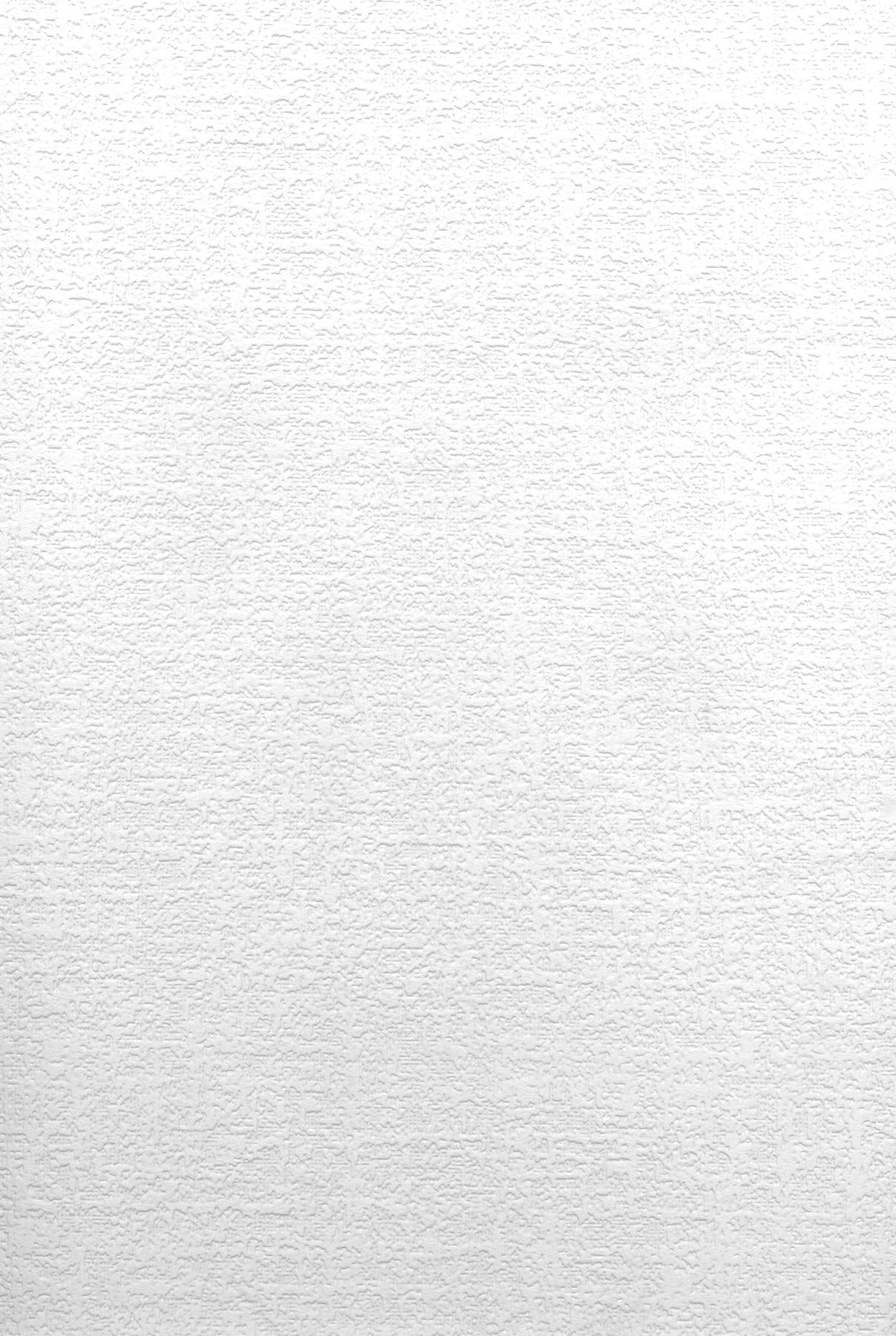 Brewster Home Fashions Egg Shell Plaster Texture Paintable Wallpaper