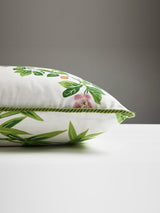 Scalamandre Jardin De Chine 22 X 22 - Spring Decorative Pillow