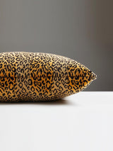 Scalamandre Corbet 22 X 22 - Brown Decorative Pillow