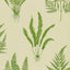 Sanderson Woodland Ferns Green Wallpaper