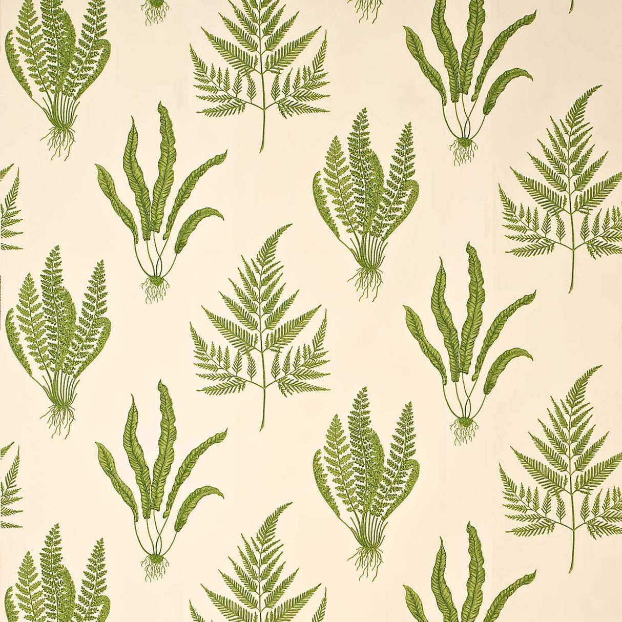 Sanderson Woodland Ferns Green Fabric