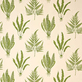 Sanderson Woodland Ferns Green Fabric