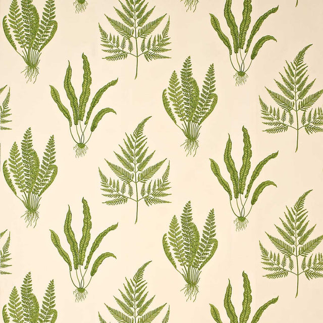 Sanderson Woodland Ferns Green Fabric