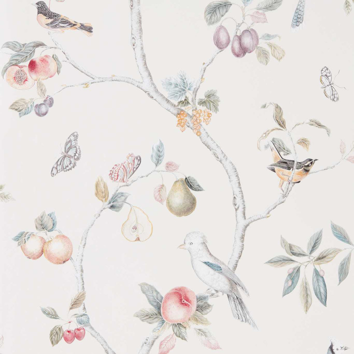 Sanderson Fruit Aviary Cream/Multi Wallpaper