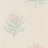 Sanderson Protea Flower Russet/Green Wallpaper