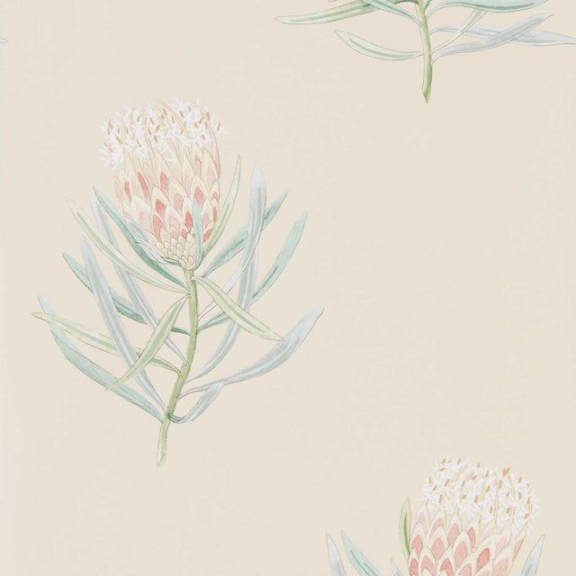 Sanderson Protea Flower Russet/Green Wallpaper