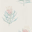 Sanderson Protea Flower Porcelain/Blush Wallpaper