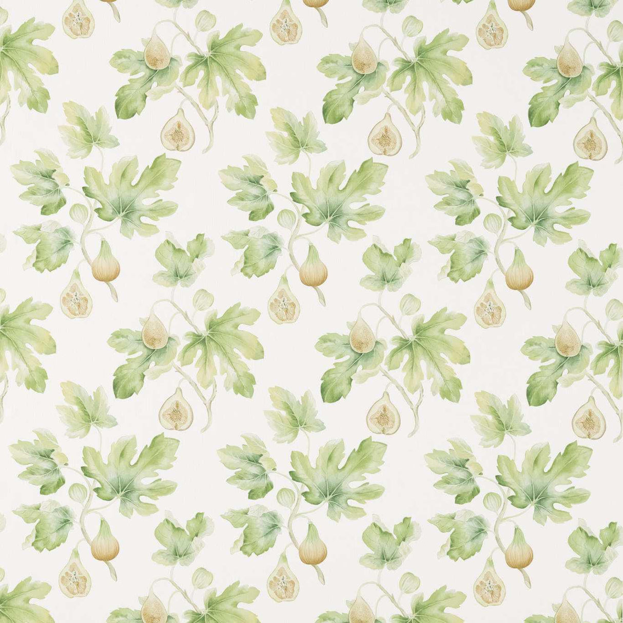 Sanderson Fig Harvest Garden Green Fabric