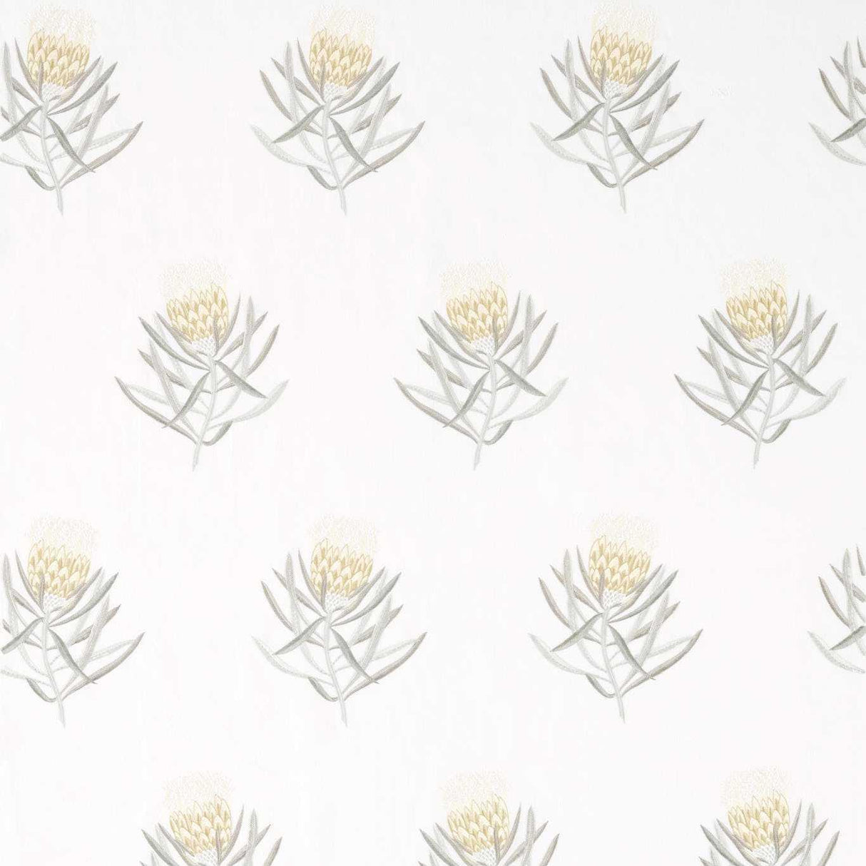 Sanderson Protea Flower Daffodil/Natural Fabric