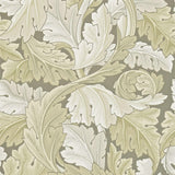 Morris & Co Acanthus Stone Wallpaper
