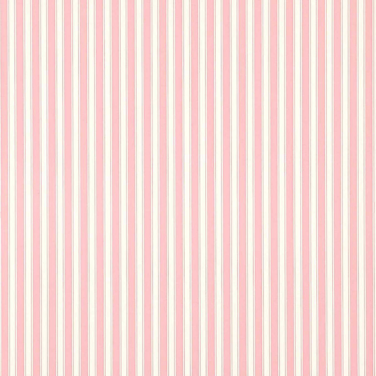 Sanderson New Tiger Stripe Rose/ Ivory Wallpaper