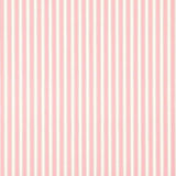Sanderson New Tiger Stripe Rose/ Ivory Wallpaper