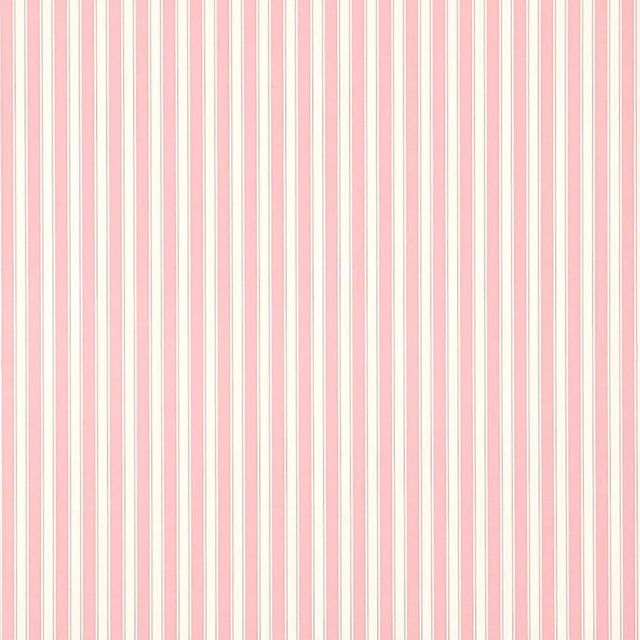 Sanderson New Tiger Stripe Rose/ Ivory Wallpaper