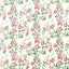Sanderson Andhara Rose/Cream Fabric