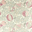 Sanderson Cantaloupe Blush/Dove Fabric