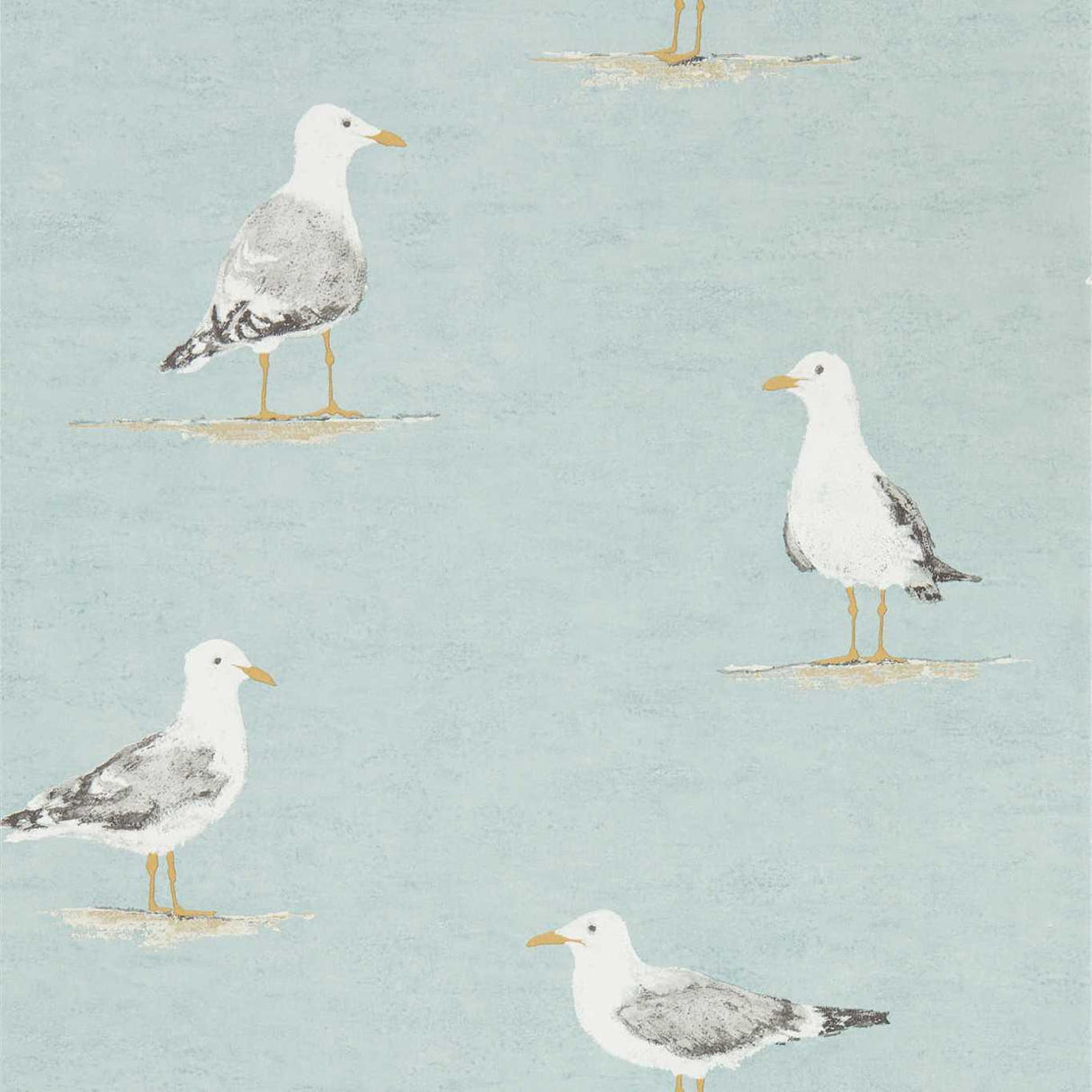 Sanderson Shore Birds Sky Wallpaper