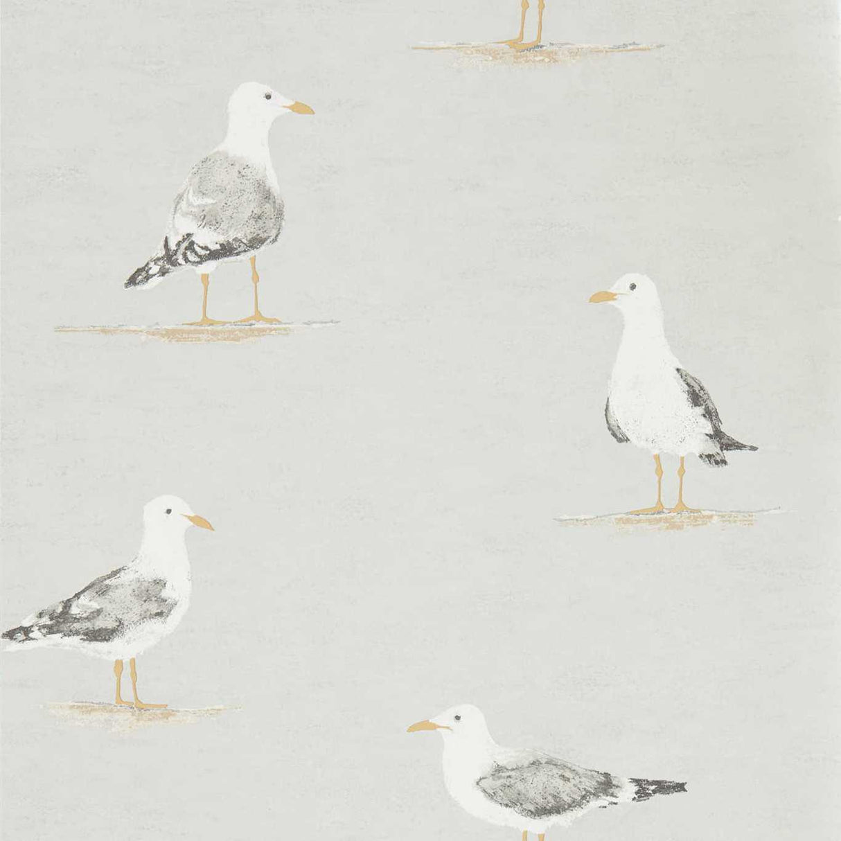 Sanderson Shore Birds Gull Wallpaper