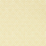 Sanderson Pinjara Trellis woad Wallpaper