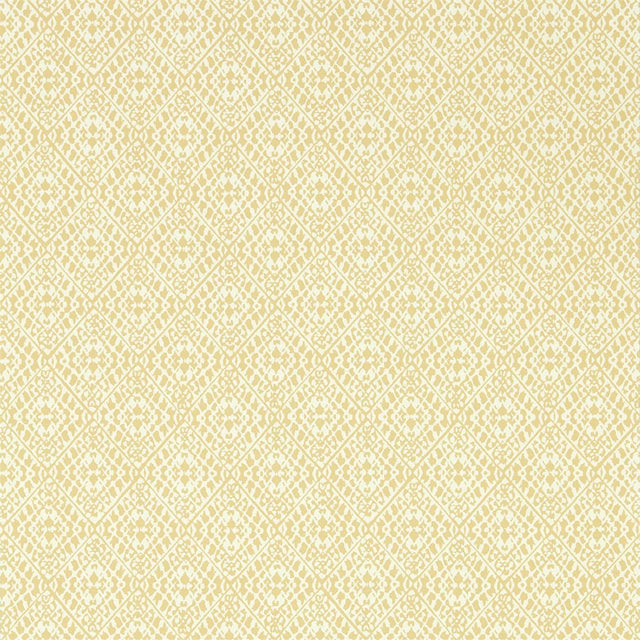 Sanderson Pinjara Trellis woad Wallpaper
