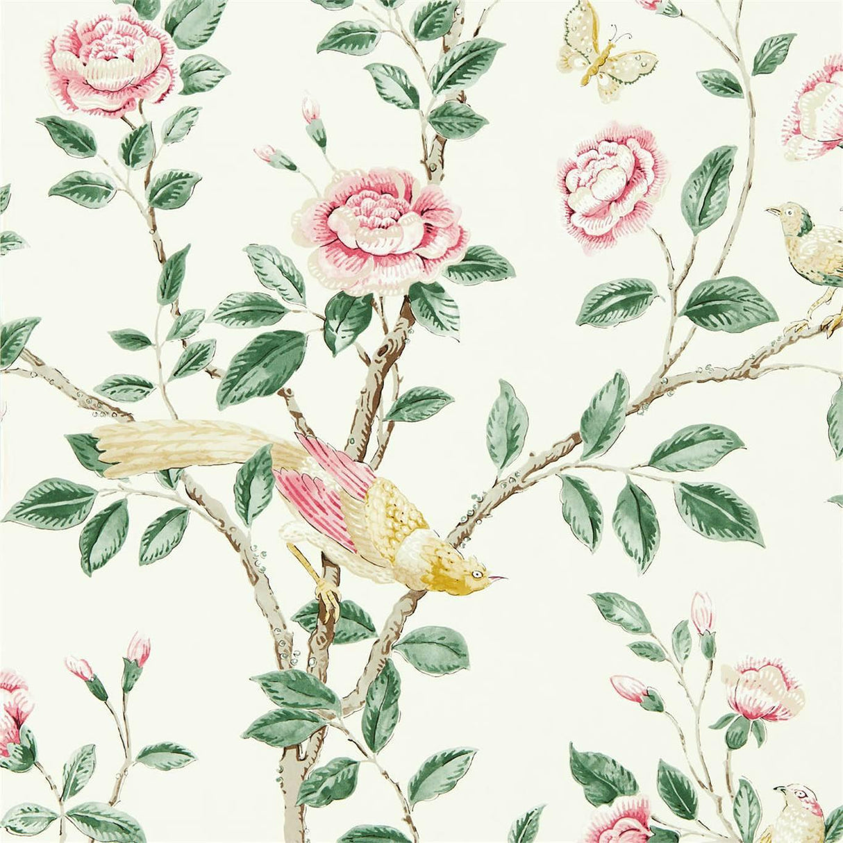 Sanderson Andhara Rose/Cream Wallpaper